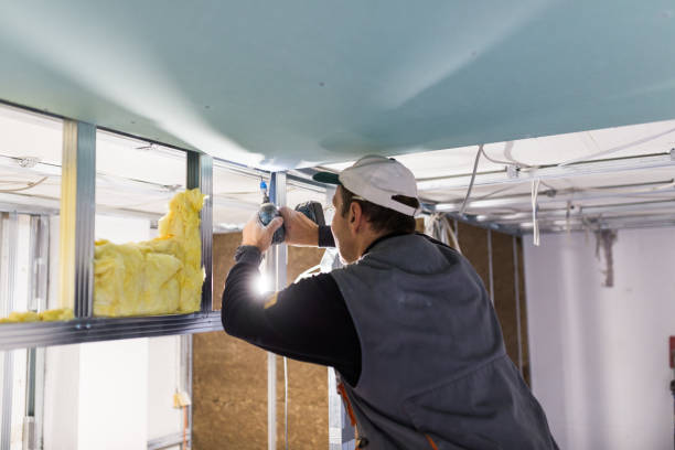 Best Insulation Installation Services in Vail, CO